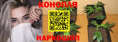 герыч Донецк