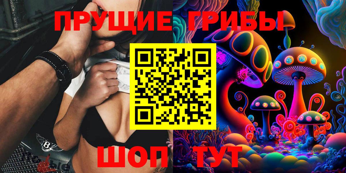 Псилоцибиновые грибы Psilocybe Прокопьевск