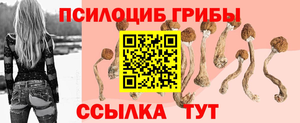Прокопьевск  Галлюциногенные грибы мухоморы  Вход с VPN 