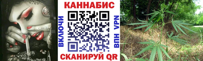 продажа наркотиков  Прокопьевск  Шишки марихуана THC 21% 